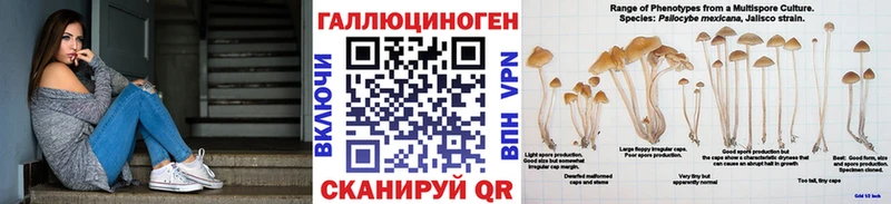 Псилоцибиновые грибы мухоморы Щёлкино